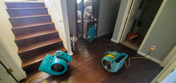 Best Water damage restoration company  in Conesus Lake, NY