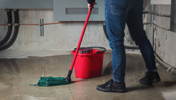 Best Sewage cleanup and water damage restoration  in Conesus Lake, NY