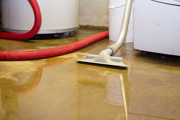 Best Ceiling water damage repair  in Conesus Lake, NY
