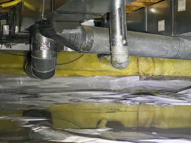Best Local water damage restoration  in Conesus Lake, NY