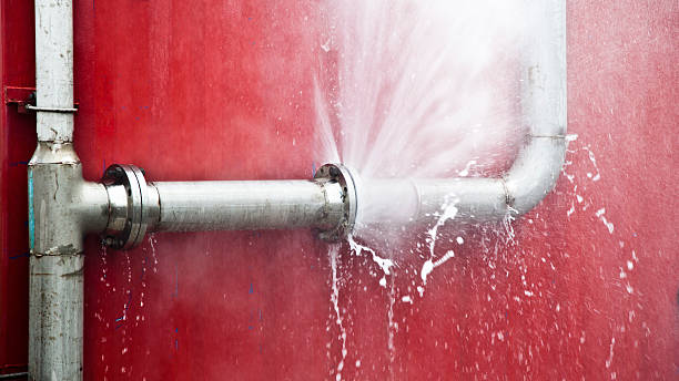 Best 24/7 water damage repair  in Conesus Lake, NY